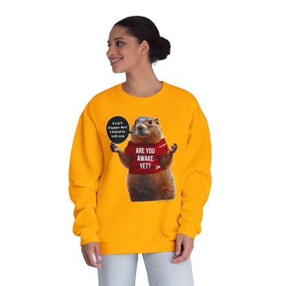 Cartoon patriotic don’t blame me print, Unisex NuBlend® Crewneck Sweatshirt